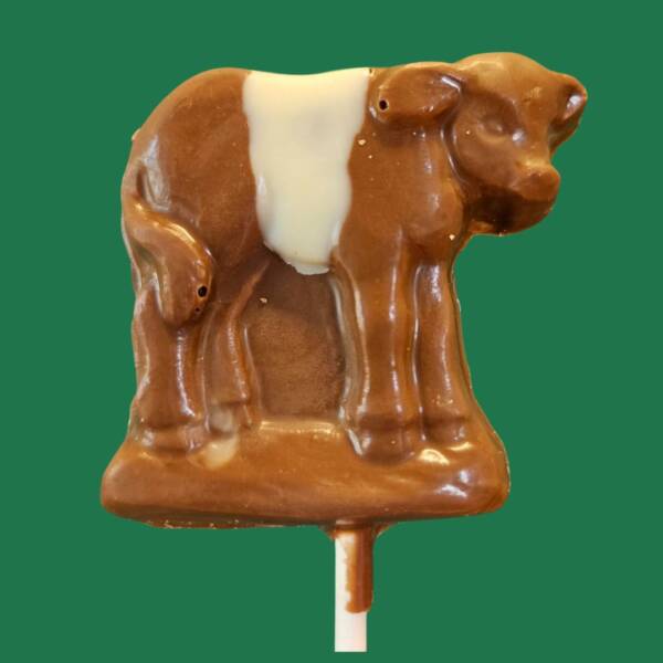 Milk Chocolate Belted Galloway Cow Lolly