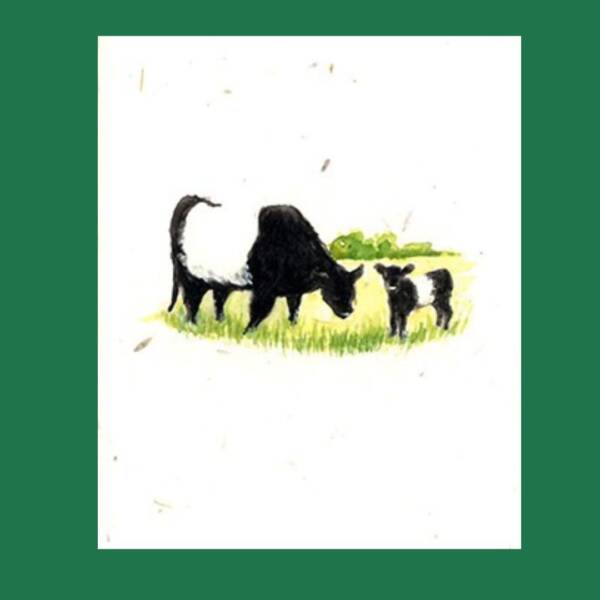 Belted Galloway and Calf Seed Paper Greeting Card