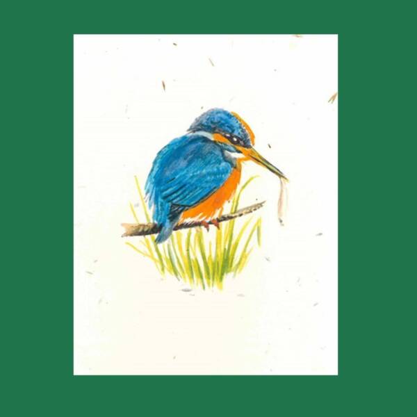 Kingfisher Seed Paper Greeting Card