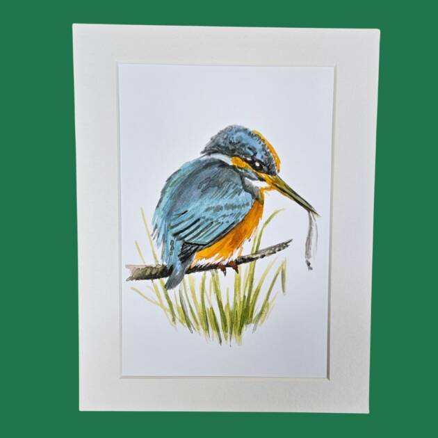 10x8 Mounted fine art kingfisher print