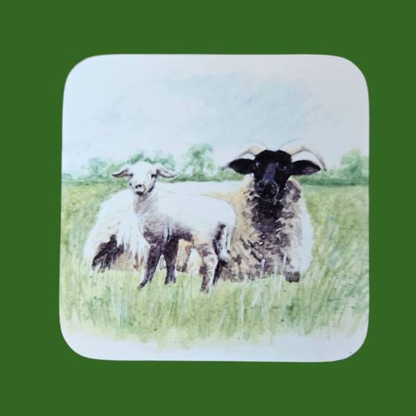 Sheep coaster