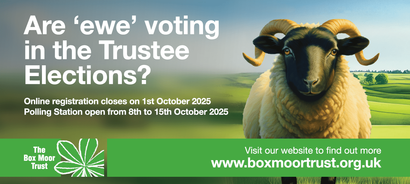 Are ewe voting
