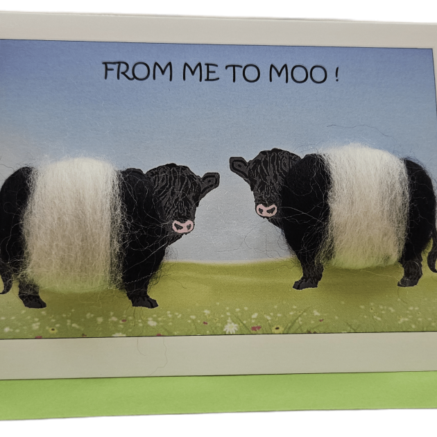 From Me to Moo! Beltie cards
