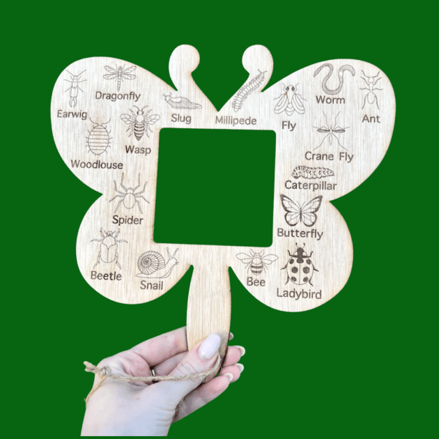 Wooden Bug Identifier